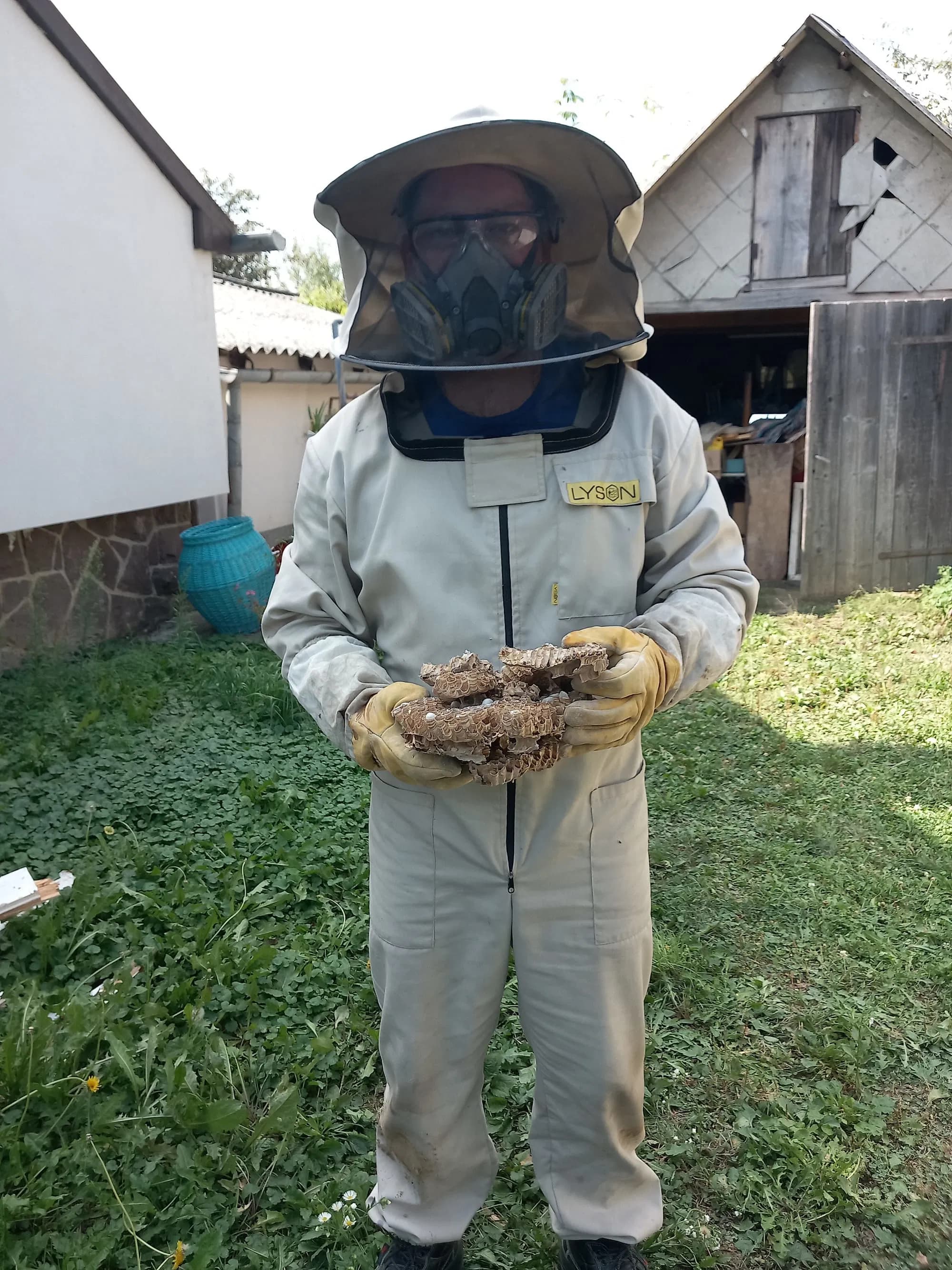 Professzionális darázsirtás Szolnok vármegyében - DarázsOff kártevőirtó szakember munka közben