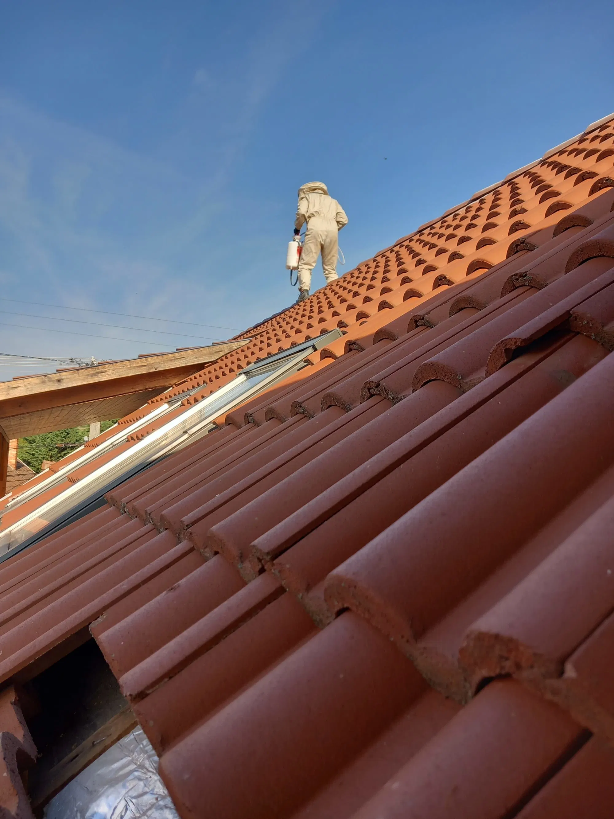 Darázsirtás tetőn - magaslati munkavégzés