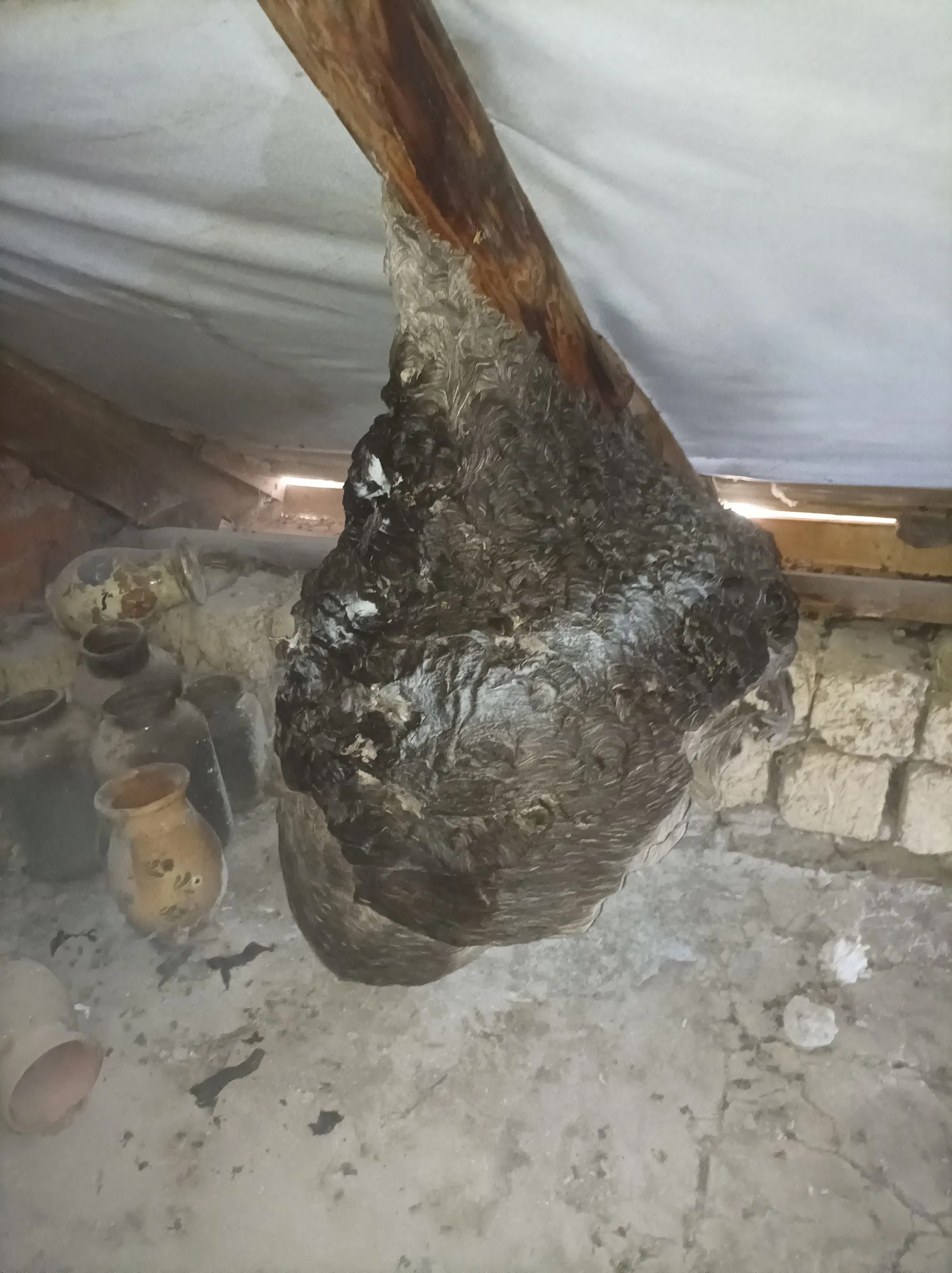 Darázsfészek eltávolítás után - garanciális munka