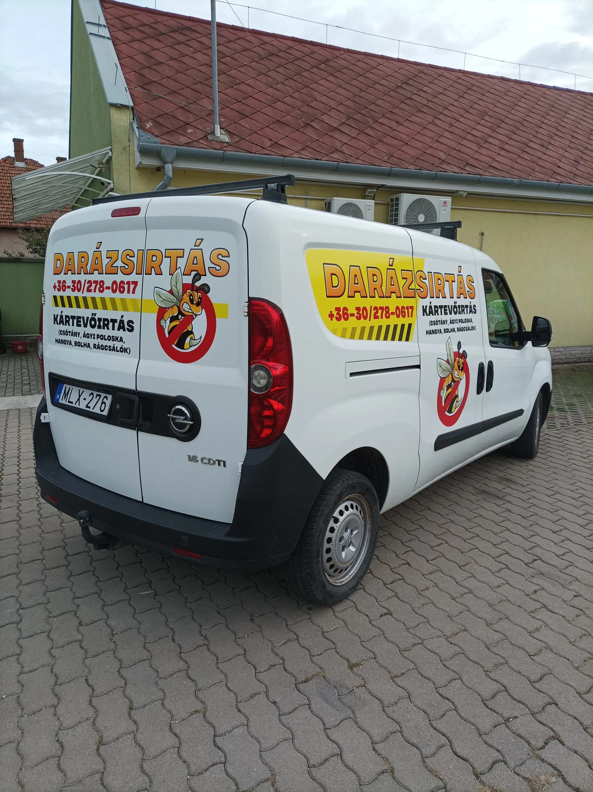 Darázsirtás Kunhegyesen - szakszerű beavatkozás